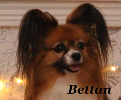 Bettan